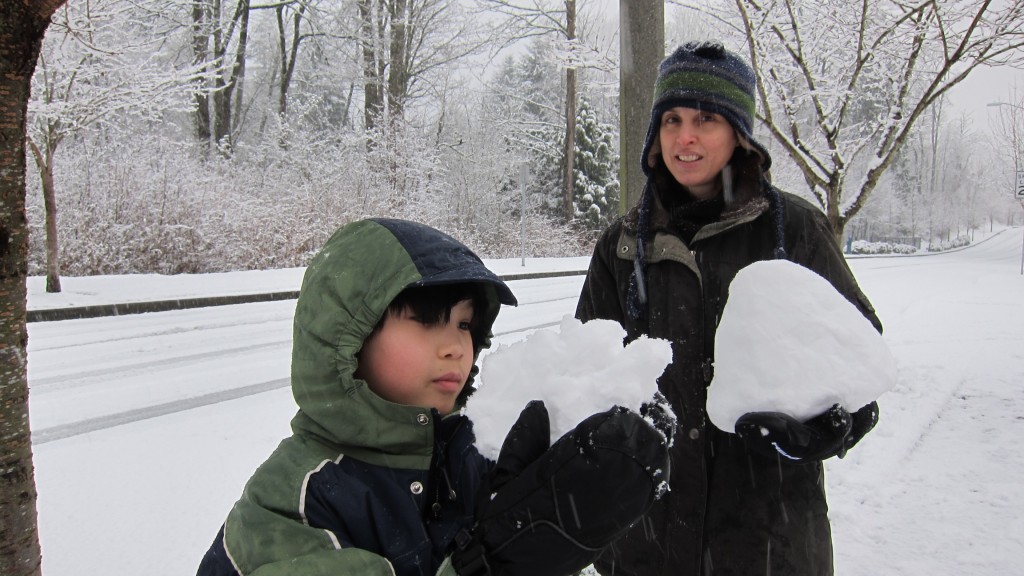 January snow - Redmond 2012