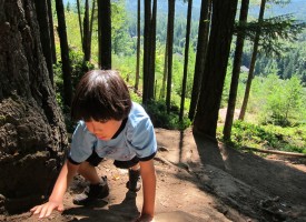 Little Hiker